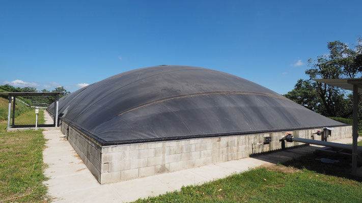 Gallinaza - pollinaza aprovechamiento en biodigestores- Aqualimpia Engineering 