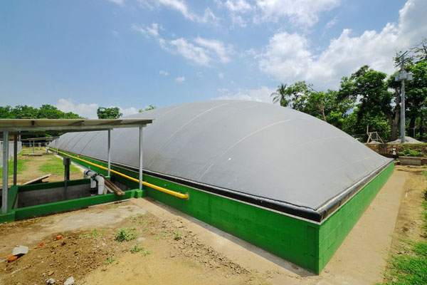 Biodigestor-hacienda-lechera-ganado vacuno - tambo