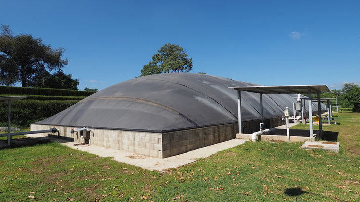 Gallinaza - pollinaza aprovechamiento en biodigestores- Aqualimpia Engineering 