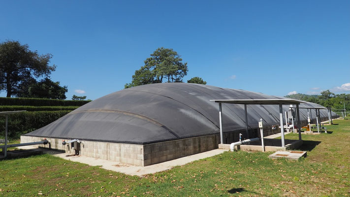 Gallinaza - pollinaza aprovechamiento en biodigestores- Aqualimpia Engineering 