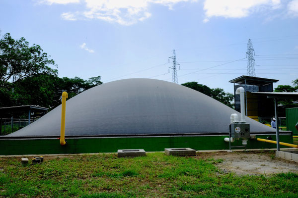 Biodigestor aprovechamiento de balsas de purines cerdos  estiércol  - Aqualimpia Engineering 