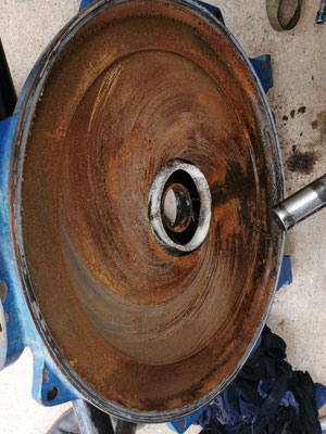 Daños por acción de H2S sulfúro de hidrogeno biogas Aqualimpia Engineering