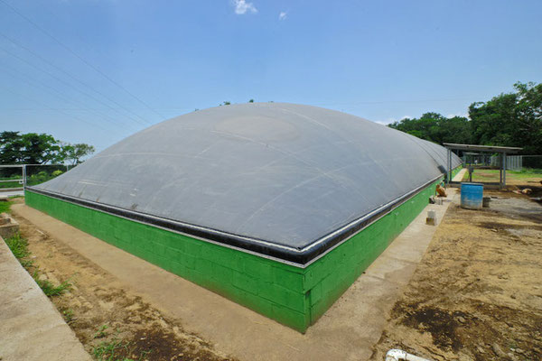 Biodigestor-hacienda-lechera-ganado vacuno - tambo