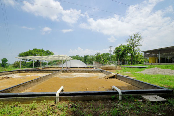 Biodigestor-hacienda-lechera-ganado vacuno - tambo