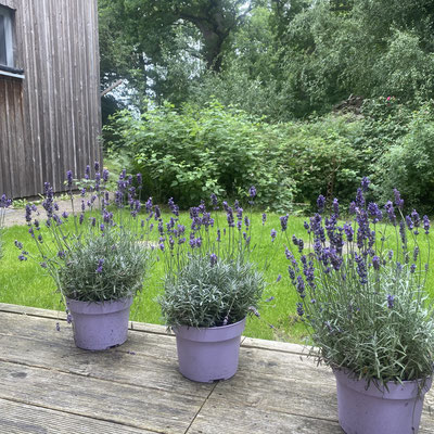 InspirAre retreat Center, bei Bremen