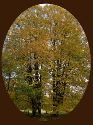 InspirAre retreat Center, bei Bremen