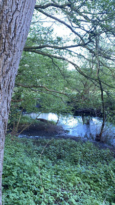 InspirAre retreat Center, bei Bremen
