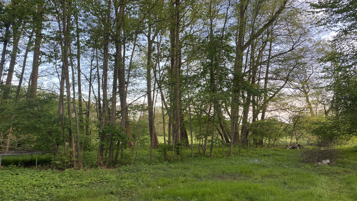 InspirAre retreat Center, bei Bremen