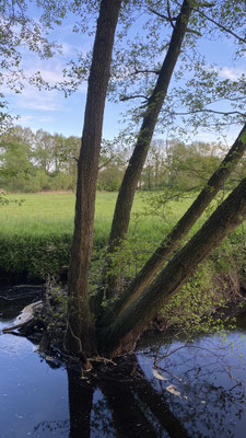 InspirAre retreat Center, bei Bremen