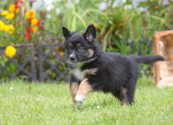Yuki
