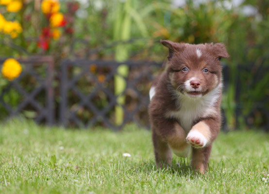 Benny