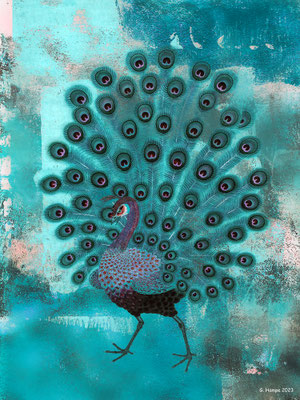 The peacock