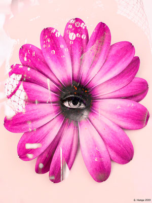 The eye and the flower
