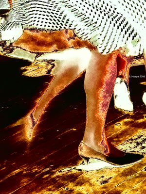 Dancing feet - Alu-Dibond 45x60 Mixed Media edition