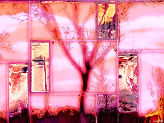 The abstract tree in the window