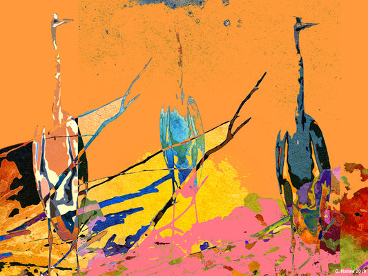 Three herons