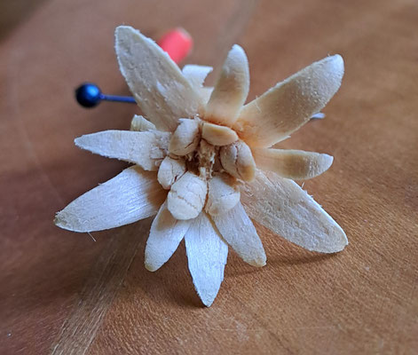 Edelweiss handgeschnitzt Anstecker