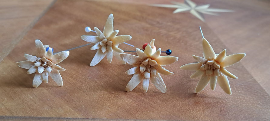 Edelweiss handgeschnitzt Anstecker