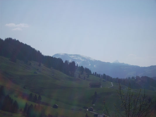 Blick auf den Säntis
