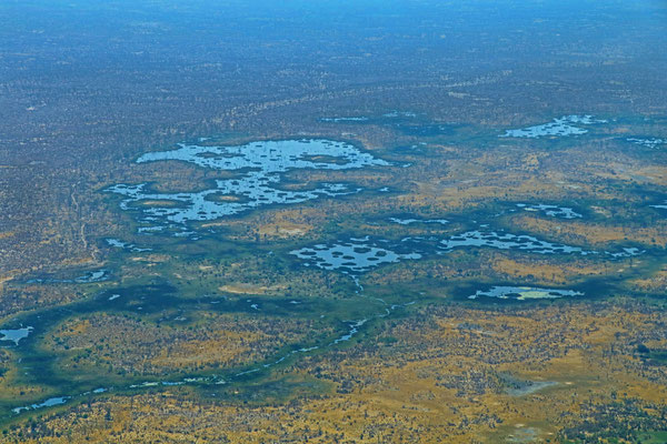#1 Okavango Delta