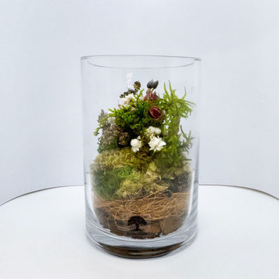 熱海限定ワークショップ『＼お手入れ不要／苔と花のテラリウム』作り［①トールサイズ］
