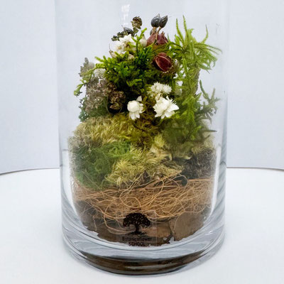 熱海限定ワークショップ『＼お手入れ不要／苔と花のテラリウム』作り［①トールサイズ］