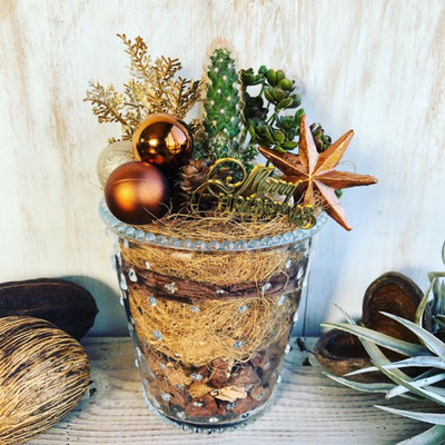 「サボテンのクリスマステラリウム」作り