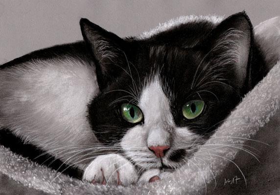 Zeichenkohle/Pastell, 21x30 cm, Ref. Foto Stine Satke