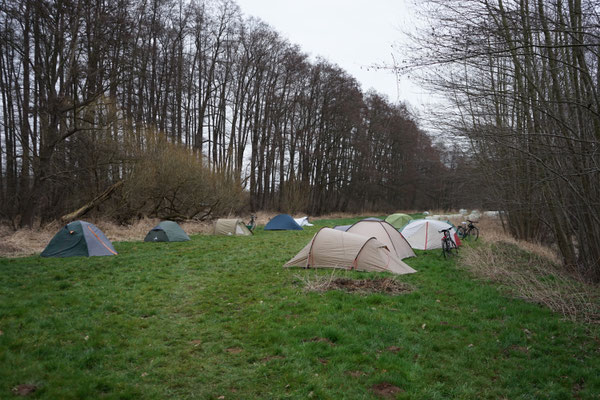 Wildwechsel 2: Übernachtung im Camp – Zelte am Waldrand