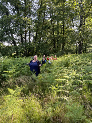 Wildwechsel 2: Streifzug durch Farnfeld – Dübener Heide