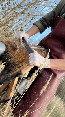 Gerbkurs: Wildleder traditionell herstellen – Lederhandwerk draußen