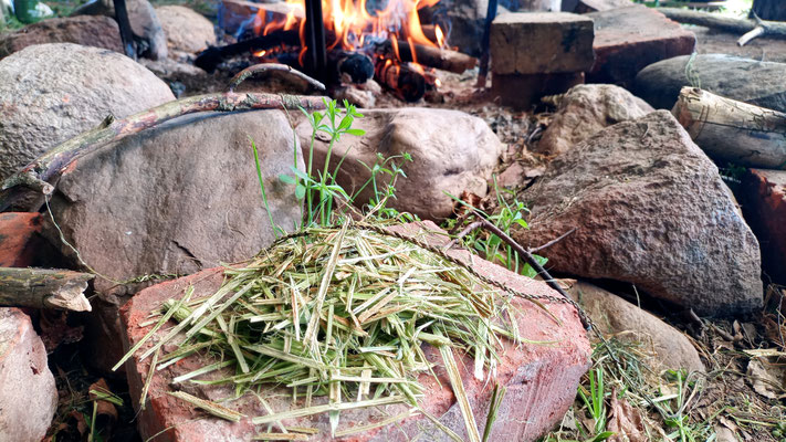 Frauen-Wildnis-Wochenende: Lagerfeuer & Wildküche – draußen Kochen