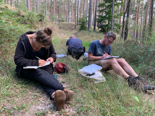 Wildwechsel-Ausbildung: Alleinzeit & Journaling im Wald