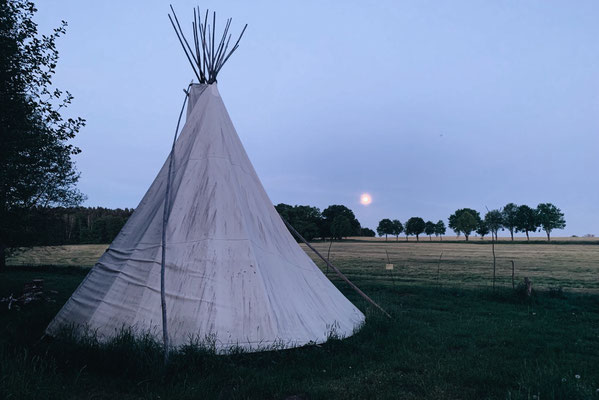 Tipi am Lagerplatz der Wildnisschule Heidefeuer