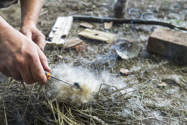 Basiskurs Wildnis: Leben im Camp – Naturwissen praktisch erleben