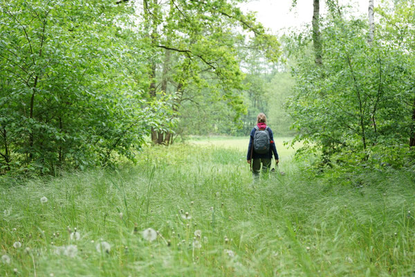 Wildwechsel-Ausbildung: Naturwahrnehmung – allein im Wald unterwegs