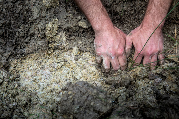 Wildkeramik: Tonerde finden und vorbereiten – Töpfern in der Natur