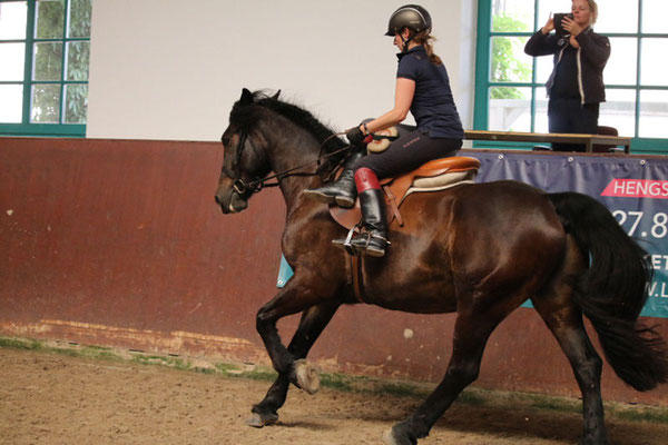 RID Reiten im Damensattel Lehrgang Redefin 2022