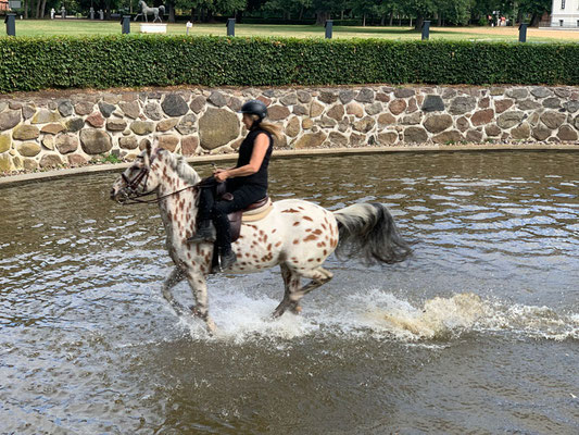 RID Reiten im Damensattel Lehrgang Redefin 2022