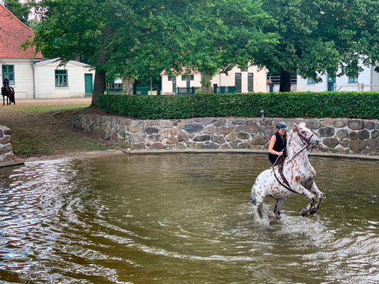 RID Reiten im Damensattel Lehrgang Redefin 2022