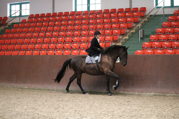 RID Reiten im Damensattel Lehrgang Redefin 2022