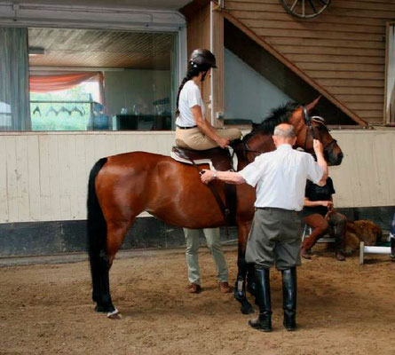 RID Reiten im Damensattel Nachruf Hans Biener, Reitlehrer Ulm