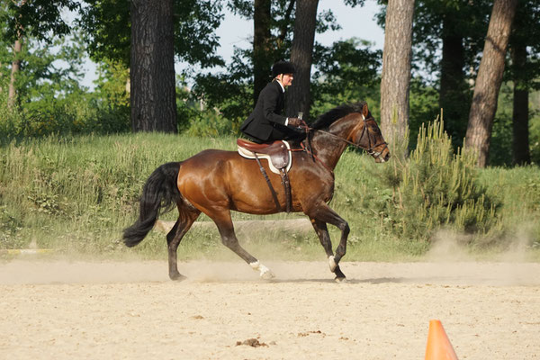 RID Reiten im Damensattel, Dr. Bettina Grahner, Claudia Strommenger, 90. Geburtstag RuFV Dilkrath, Jagdreiten im Damensattel