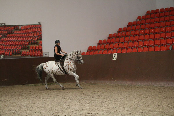 RID Reiten im Damensattel Lehrgang Redefin 2022