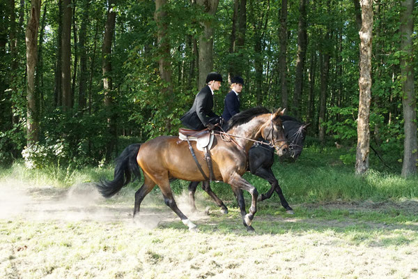 RID Reiten im Damensattel, Dr. Bettina Grahner, Claudia Strommenger, 90. Geburtstag RuFV Dilkrath, Jagdreiten im Damensattel