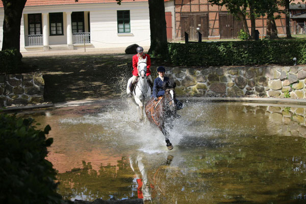 RID Reiten im Damensattel Lehrgang Redefin 2022