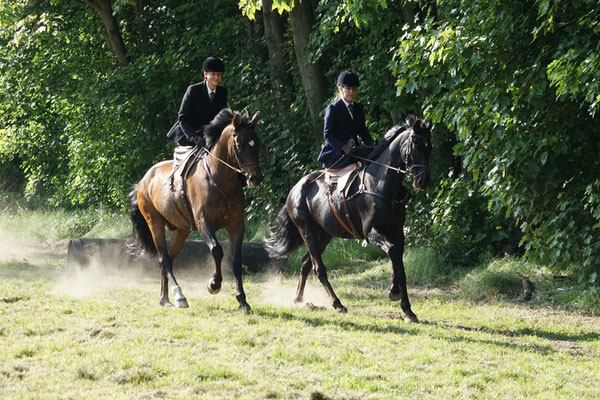 RID Reiten im Damensattel, Dr. Bettina Grahner, Claudia Strommenger, 90. Geburtstag RuFV Dilkrath, Jagdreiten im Damensattel