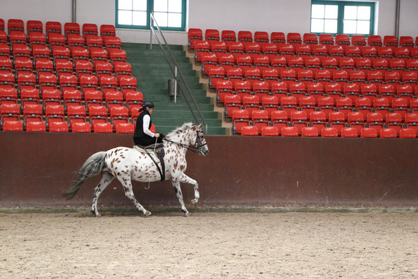 RID Reiten im Damensattel Lehrgang Redefin 2022