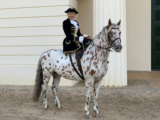 RID Reiten im Damensattel Lehrgang Redefin 2022