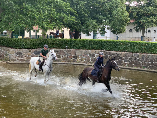 RID Reiten im Damensattel Lehrgang Redefin 2022